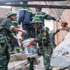 Đội cứu hộ đã phải đào bới từng viên gạch bằng tay không và các công cụ thô sơ để giải cứu các nạn nhân vụ sập nhà. (Ảnh: Minh Sơn/Vietnam+)