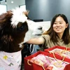 Thú cưng nơi công sở- Lạc đà Alpaca ( Nguồn: Oddity Central)