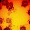 Virus SARS-CoV-2 gây bệnh Covid-19 mới được phát hiện gần đây tại Anh. (Nguồn: AFP)