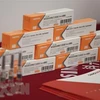 Vắcxin ngừa COVID-19 của Sinovac. (Ảnh: AFP/TTXVN) 