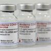 Vắcxin ngừa COVID-19 của Moderna. (Ảnh: AFP/TTXVN) 