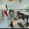 Bên trong cơ sở hạt nhân Natanz ở phía Nam thủ đô Tehran, Iran. (Ảnh: IRNA/TTXVN) 