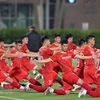 Đội tuyển Việt Nam tập luyện tại UAE (Ảnh: Hoàng Linh/TTXVN) 