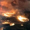 Cận cảnh cháy rừng ở Mỹ. (Nguồn: WSPA)