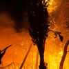 Lính cứu hỏa nỗ lực dập lửa cháy rừng tại phía Bắc Athens, Hy Lạp ngày 5/8/2021. (Ảnh: THX/TTXVN)