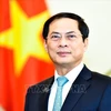Bộ trưởng Bộ Ngoại giao Bùi Thanh Sơn. (Ảnh: TTXVN)
