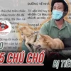 [Audio] Xôn xao vụ 15 chú chó của hai vợ chồng ở Cà Mau bị thiêu hủy