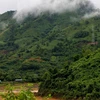 Đường dây 220kV Đông Hà – Lao Bảo. (Ảnh: Ngọc Hà/TTXVN)