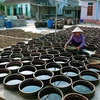 Nghề làm nước mắm Nam Ô là một trong số ít làng nghề nước mắm truyền thống còn tồn tại trên cả nước vừa được đưa vào Danh mục di sản văn hóa phi vật thể quốc gia..(Nguồn: VNT)