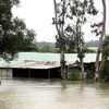 Hàng quán trên địa bàn xã Tam Đàn, huyện Phú Ninh bị ngập nước. (Ảnh: Phước Tuệ /TTXVN)