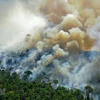 Khói lửa bốc lên từ đám cháy tại khu vực rừng Amazon ở bang Para State, Brazil ngày 16/8/2020. (Ảnh: AFP/TTXVN) 