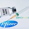 Vaccine do hãng dược Pfizer nghiên cứu và sản xuất (Nguồn:TTXVN) 