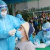 Nhân viên y tế lấy mẫu xét nghiệm COVID-19 cho người dân phường Gia Cẩm, thành phố Việt Trì (Phú Thọ). (Ảnh: Trung Kiên/TTXVN) 