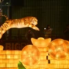 Đèn lồng hình con Hổ biểu tượng cho Năm Nhâm dần trưng bày tại Singapore. (Ảnh: THX/TTXVN) 