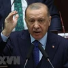 Tổng thống Thổ Nhĩ Kỳ Tayyip Erdogan. (Ảnh: AFP/TTXVN) 