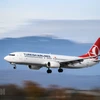 Máy bay của hãng hàng không Turkish Airlines. (Ảnh: AFP/TTXVN) 