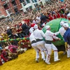 Lễ hội dân gian truyền thống Doudou (Đánh Rồng) ở thành phố Mons của Bỉ. (Nguồn: Getty Images)