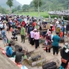 Khu vực chợ lợn San Thàng nhộn nhịp người bán, người mua. (Ảnh: Nguyễn Oanh/TTXVN)