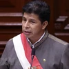 Tổng thống Peru Pedro Castillo. (Ảnh: AFP/TTXVN) 