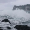 Sóng lớn xô vào bờ biển ở đảo Jeju, Hàn Quốc ngày 3/9/2022, trước khi bão Hinnamnor đổ bộ. 9Ảnh: Yonhap/ TTXVN)