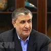 Giám đốc Cơ quan Năng lượng Nguyên tử Iran (IAEO) Mohammad Eslami. (Ảnh: IRNA/TTXVN)