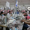 Sản xuất hàng may mặc tại Công ty Cổ phần Thương mại xuất nhập khẩu May Phương Nam (quận Gò Vấp). (Ảnh: Thanh Vũ/TTXVN) 