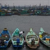 Ngư dân neo đậu tàu thuyền tránh bão Mandous tại cảng cá Kasimedu ở Chennai, Ấn Độ, ngày 8/12/2022. (Ảnh: AFP/ TTXVN)