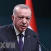 Tổng thống Thổ Nhĩ Kỳ Recep Tayyip Erdogan. (Ảnh: AFP/TTXVN) 