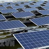 Công ty Hàn Quốc đầu tư 2,5 tỷ USD vào sản xuất tấm pin mặt trời ở Mỹ