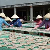 Nhiều hộ sản xuất cá khô ở Làng khô Phú Thọ đang chuẩn bị cho thị trường Tết.(Ảnh: Nhựt An/TTXVN) 