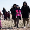 Vấn đề người di cư: UNHCR đánh giá về dự luật mới của Anh