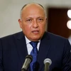 Ai Cập thúc đẩy hành động chung Arab nhằm giải quyết các thách thức