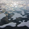 Khai mạc Hội nghị về biến đổi khí hậu và tan băng vĩnh cửu tại LB Nga
