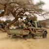 Quân đội Niger tiêu diệt và bắt giữ nhiều kẻ khủng bố gần biên giới