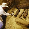 Ai Cập phát hiện xác ướp của hơn 2.000 đầu cừu từ thời kỳ Ptolemaic