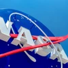 Cơ quan Hàng không và Vũ trụ Mỹ công bố chiến lược khí hậu
