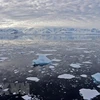 Băng Nam Cực tan nhanh khiến dòng chảy đại dương trên toàn cầu giảm 