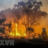 Thái Lan “chạy đua” với thời gian để dập tắt cháy rừng tại Nakhon 
