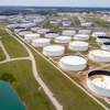 Cơ quan Năng lượng Mỹ: Dự trữ dầu thô của Mỹ giảm mạnh