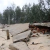 Xây dựng khu Di dân khẩn cấp khu vực sạt lở bờ biển xã Đông Hải