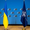 Ukraine tham gia trung tâm phòng thủ không gian mạng của NATO
