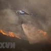 Cháy rừng ở Tây Ban Nha khiến hàng trăm người phải sơ tán