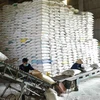 Giá gạo Việt Nam tăng lên mức cao nhất kể từ cuối tháng 4/2023