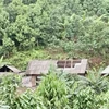 Yên Bái: Tìm thấy thi thể người mất tích do mưa to và lốc xoáy
