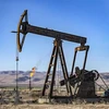 EIA: Dự trữ dầu toàn cầu sẽ giảm nhẹ theo từng quý trong 5 quý tới
