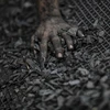 Ấn Độ: Sập mỏ than tại Jharkhand khiến ít nhất 3 người thiệt mạng