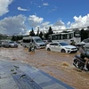 Đà Lạt: Ngập nặng và cây đổ ở nhiều tuyến phố sau cơn mưa lớn