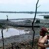 Vụ tràn dầu tại Nigeria gây ô nhiễm đất nông nghiệp và nước sinh hoạt