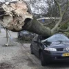 Bão lớn hoành hành tại Hà Lan gây gián đoạn giao thông nghiêm trọng