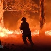  Hơn 120 vụ cháy rừng hoành hành khắp các vùng của Hy Lạp 
